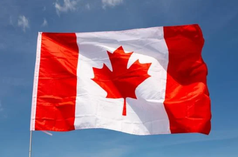 Exploring the Different Streams of the Ontario Immigrant Nominee Program (OINP)