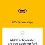 mtn scholarship