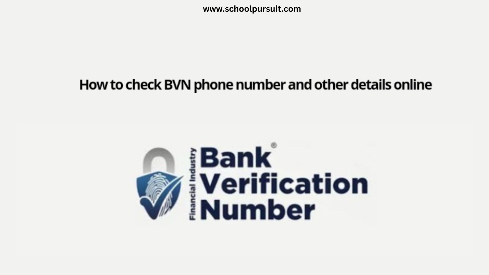 How to Check Your BVN: Quick and Simple Methods